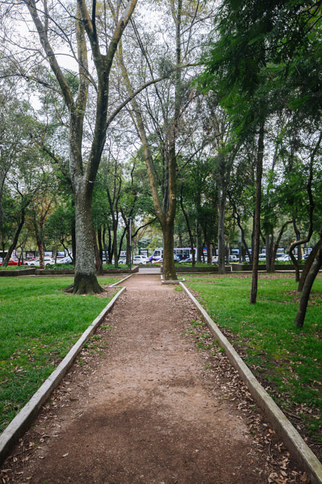 Museo Tamayo