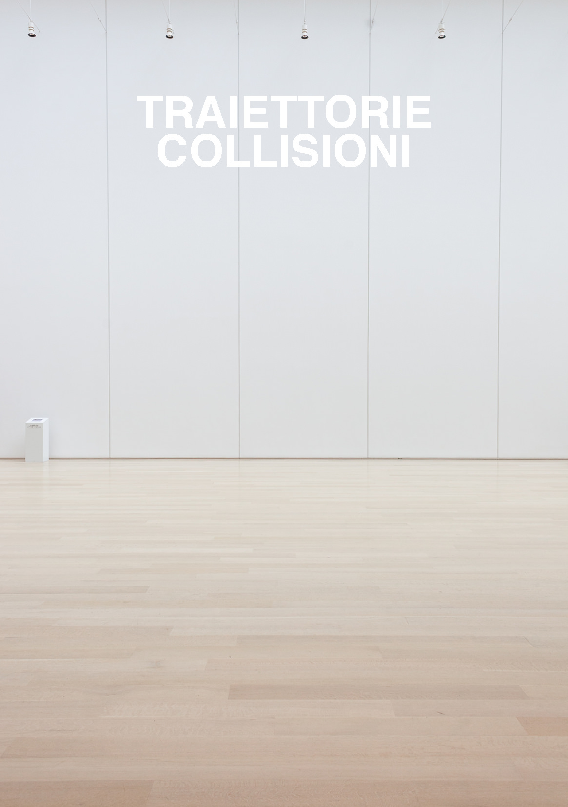 TRAIETTORIE/COLLISIONI